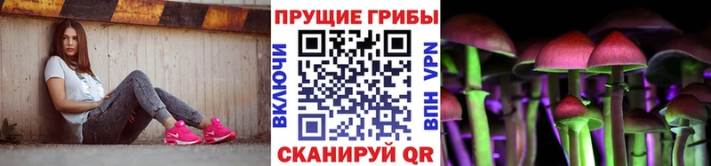 закладки  Пыть-Ях  Галлюциногенные грибы Psilocybe 